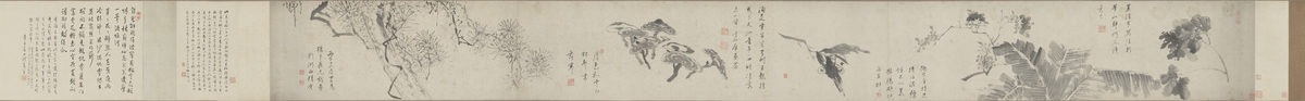 花卉卷