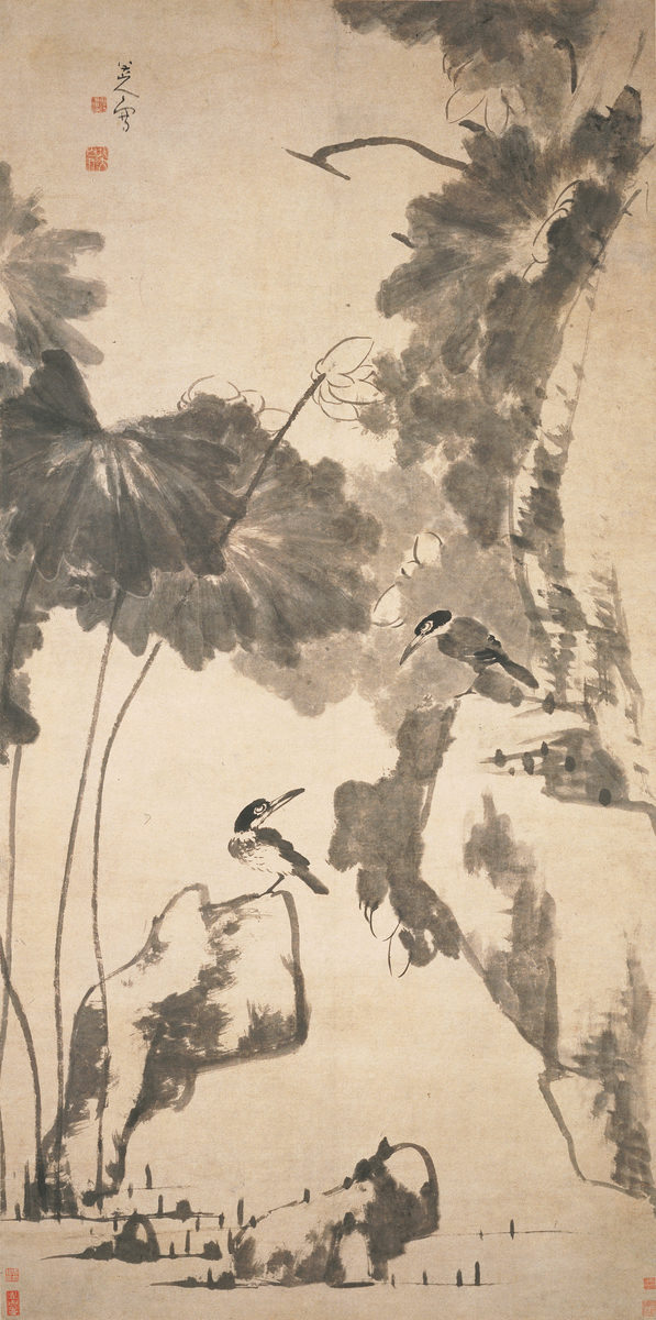 荷花翠鳥圖