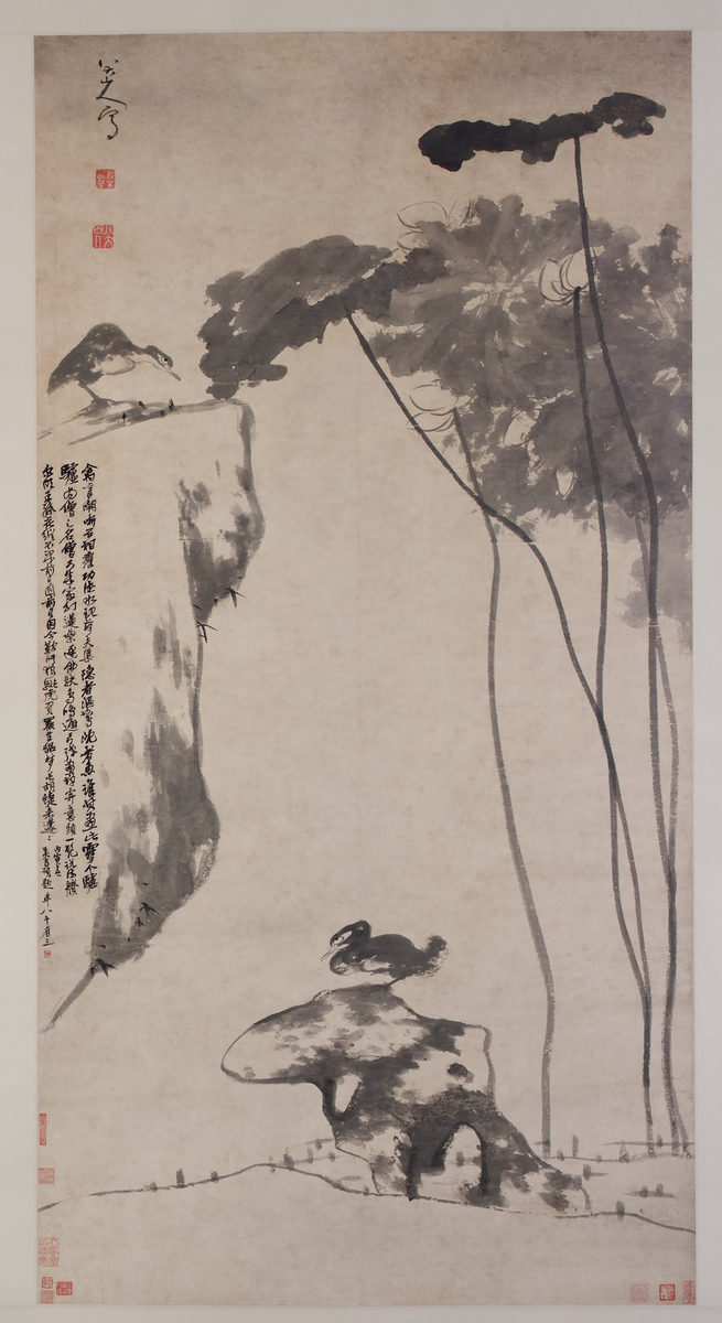 荷花雙鳧圖